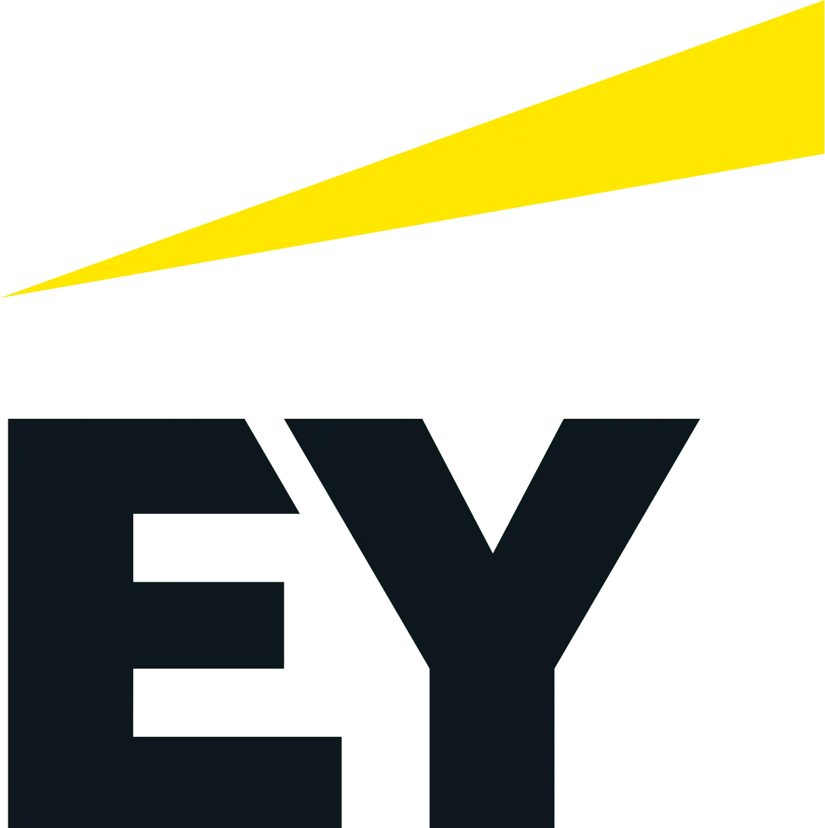 Auditeur Financier Expérimenté
