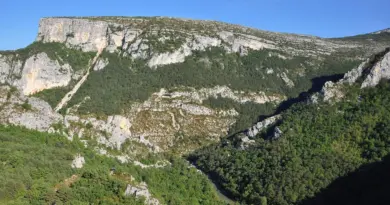 Biennale à Nice: déjà un grand succès pour les océans