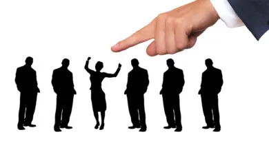Collaborateur comptable dynamique