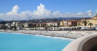Le Muséum d’Histoire Naturelle de Nice : un patrimoine en pleine renaissance