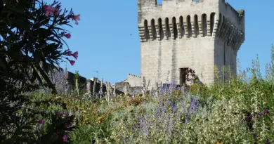 Le port Vauban d’Antibes se dote d’un village des artisans, « un super outil » pour « devenir la capitale du yachting en Méditerranée » – Nice-Matin
