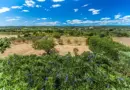 Mercantour: le Parc National menacé par une fusion avec l’Office Français de la Biodiversité