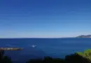 Sommet de Nice : un traité suffira-t-il à sauver nos océans ?