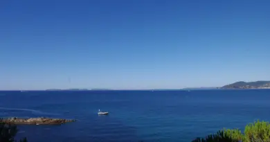Sommet de Nice : un traité suffira-t-il à sauver nos océans ?