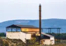 Sommet sur les océans à Nice : une trentaine de pays s’engagent en faveur d’un « océan silencieux »