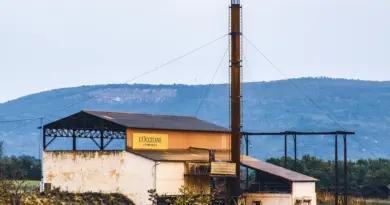 Sommet sur les océans à Nice : une trentaine de pays s’engagent en faveur d’un « océan silencieux »