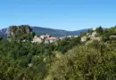 Sous 37°C ressentis ! Chaleur étouffante à Nice : chacun trouve refuge dans les musées, les ruelles et les grandes enseignes climatisées – Nice-Presse