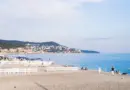 Une fusillade éclate dans ce quartier de Nice : un homme touché, le tireur en fuite
