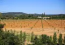 Urbanisme: quel visage pour la ville de demain à Vence? – Nice-Matin