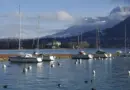 Lumières sur Rhône-Alpes