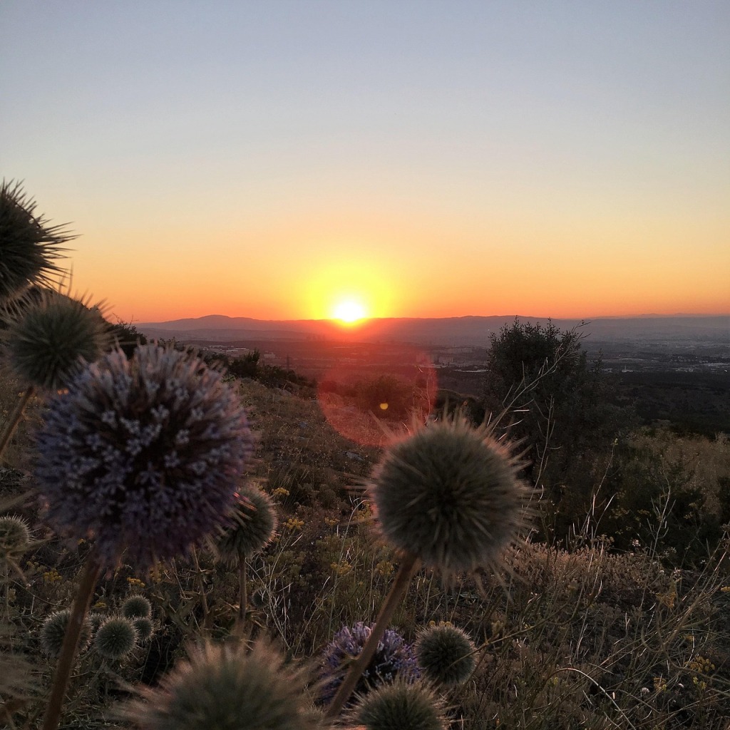 Que faire le week-end du 6 au 8 juin 2025 dans les Alpes-Maritimes ?