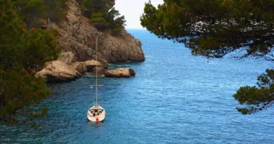 Après Nice, Cannes limite le nombre de paquebots géants dans sa baie