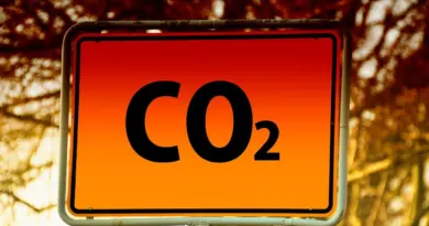 Avec Haliotis 2, Nice lance un chantier à 700 millions d’euros pour sa transition écologique