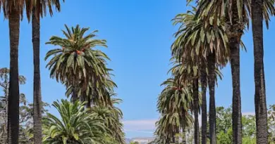 La Russie s’indigne du changement de nom du boulevard Stalingrad dans la petite ville de Drap, près de Nice