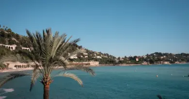 Après un demi siècle d’activité sur l’avenue Borriglione à Nice, l’enseigne de chaussures Dutto fermera définitivement dans quelques semaines – Nice-Matin