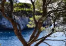 Plongée sous-marine à Nice : itinéraires, tarifs, réservation