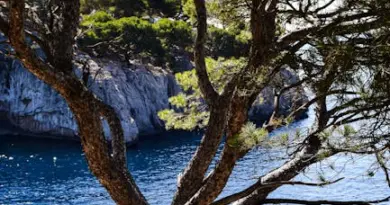 Plongée sous-marine à Nice : itinéraires, tarifs, réservation