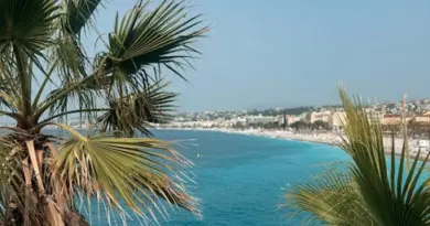 Coiffeur, infirmier, aide à domicile, cuisinier… De nombreuses offres d’emploi à saisir à Nice et sur la Côte d’Azur, avec ou sans diplômes – Nice-Presse